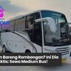 sewa medium bus, transportasi rombongan nyaman, bus pariwisata keluarga, rental bus sedang murah, jasa bus untuk event kantor
