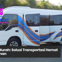Sewa Elf Murah Solusi Terbaik