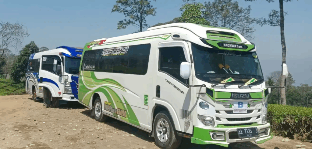 Mengapa Sewa Isuzu Elf di Alesatour?