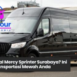 Cari Rental Mercy Sprinter Surabaya